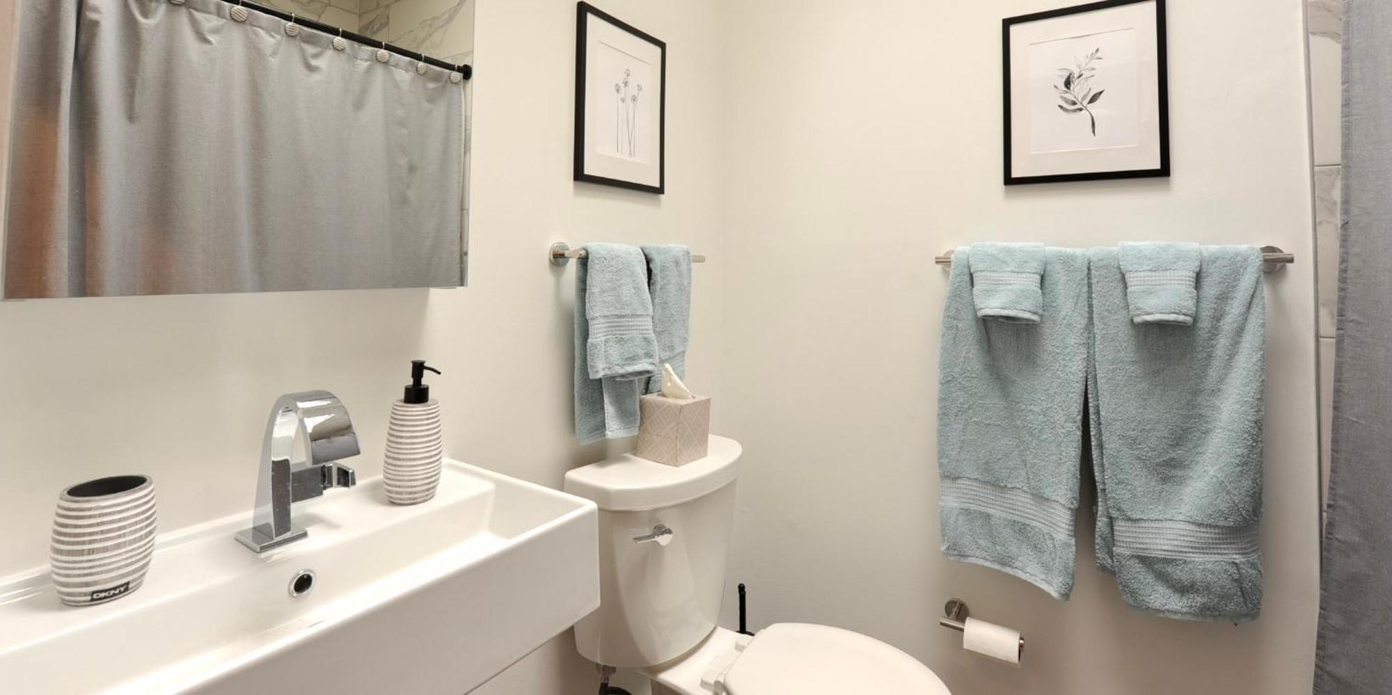 Cherry Blossom Townhouse, Easy Dc Access Вашингтон Екстер'єр фото